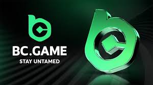 Everything You Need to Know About BC Game Log In